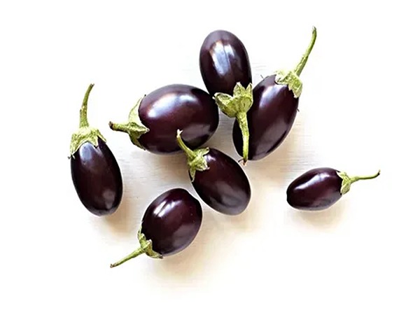 تصویر 1 از بادمجان ریز تازه برداشت شده از مزارع محلی